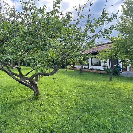 Casa Benjamin